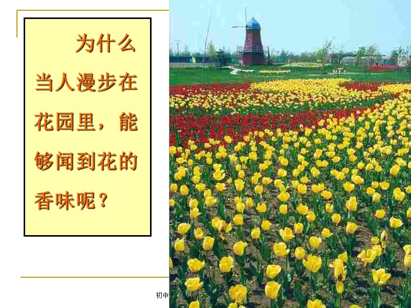 初中化学《分子和原子》PPT课件（经典实用）.ppt_第2页