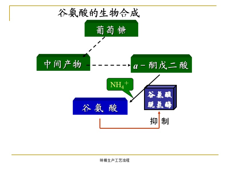 味精生产工艺流程（经典实用）.ppt_第3页