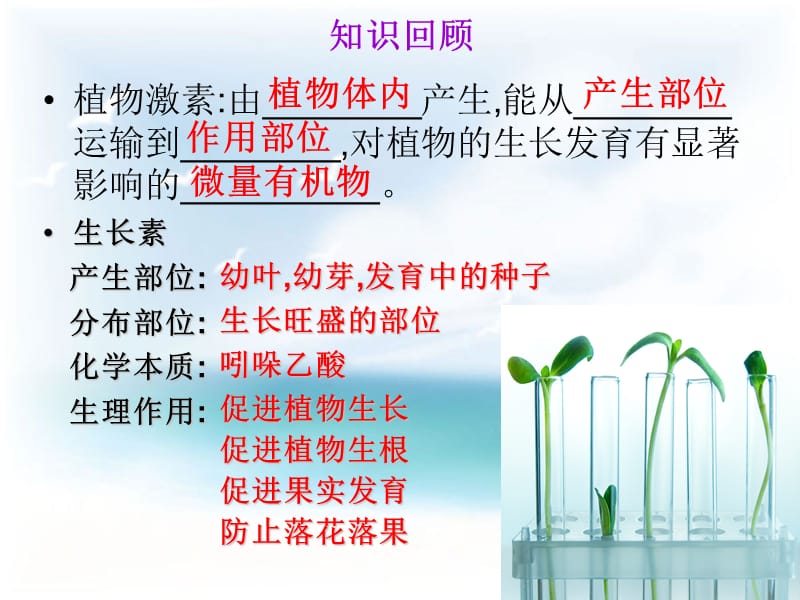 其他植物激素课件人教版必修（经典实用）.ppt_第2页