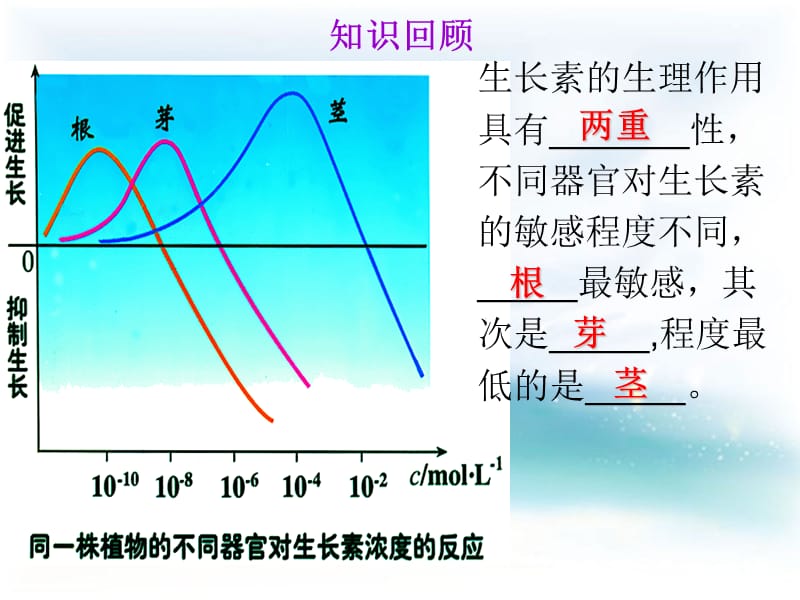 其他植物激素课件人教版必修（经典实用）.ppt_第3页