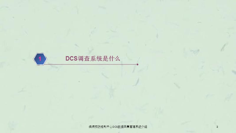 疾病预防控制中心DCS数据采集管理系统介绍课件.ppt_第3页