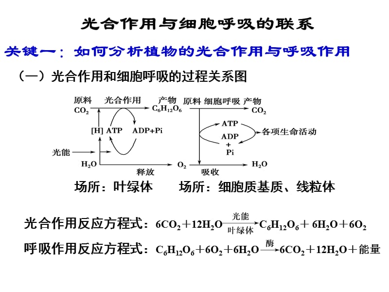 光合作用与细胞呼吸的关系（经典实用）.ppt_第3页