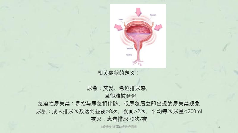 版膀胱过度活动症诊疗指南课件.pptx_第3页