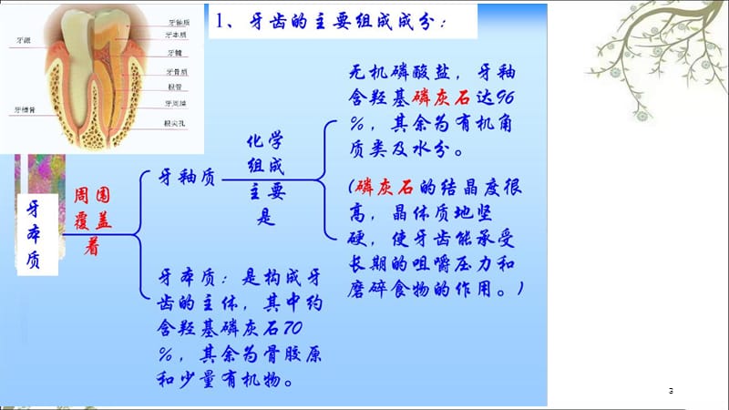 口腔卫生课件.ppt_第3页