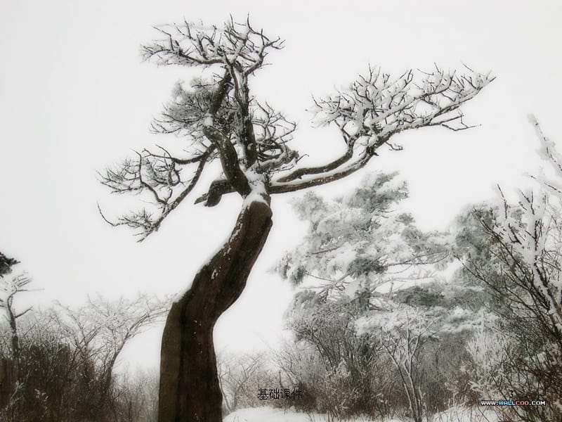 《湖心亭看雪》优秀课件[上课材料].ppt_第3页