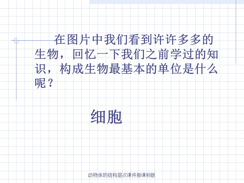 动物体的结构层次课件新课标版（经典实用）.ppt_第2页