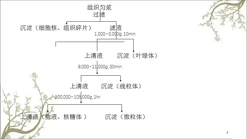 农药的代谢课件.ppt_第3页