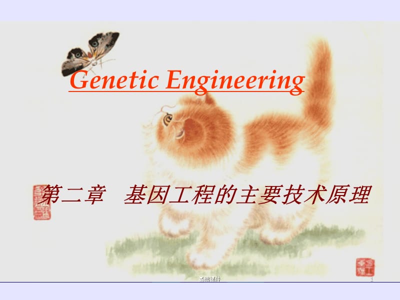 2基因工程的主要技术原理[教资优择].ppt_第1页