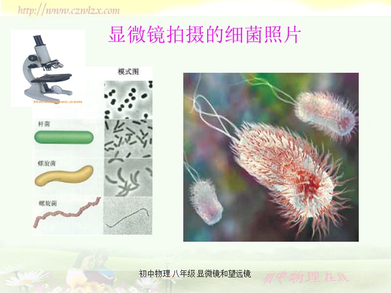 初中物理 八年级 显微镜和望远镜（经典实用）.ppt_第2页