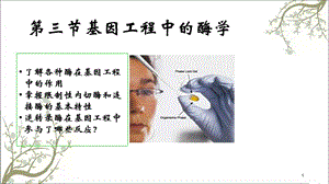 基因工程中的酶课件.ppt