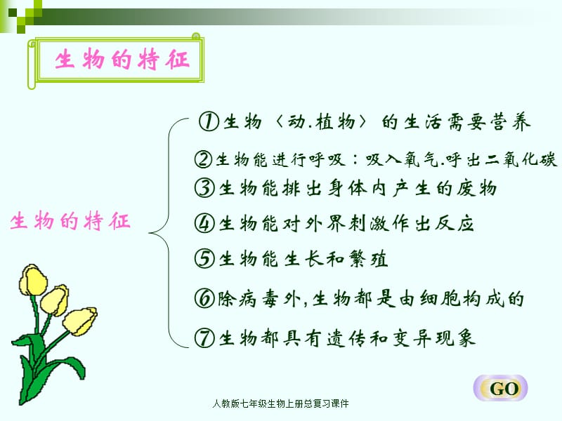 人教版七年级生物上册总复习课件（经典实用）.ppt_第2页