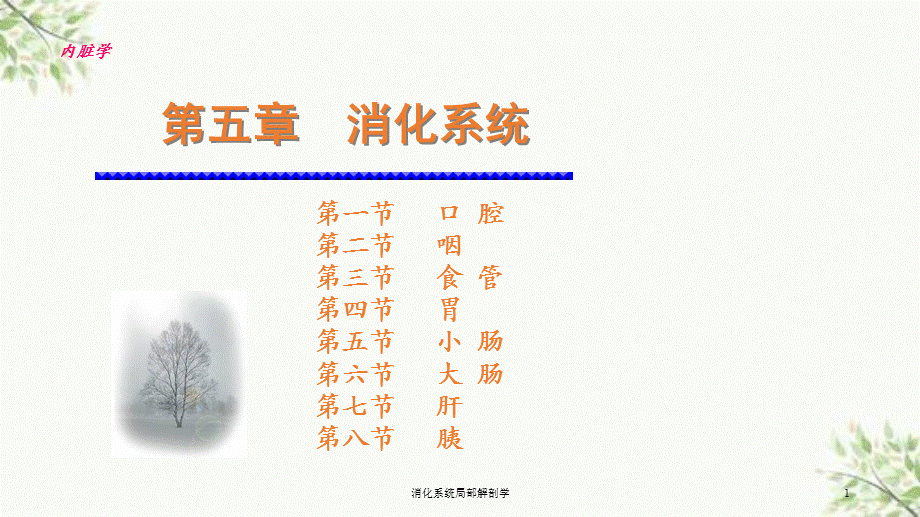 消化系统局部解剖学课件.ppt_第1页