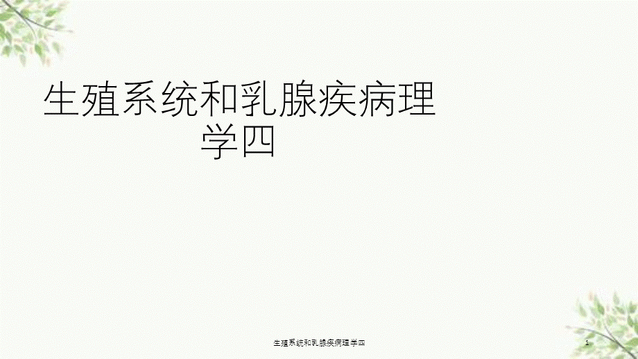 生殖系统和乳腺疾病理学四课件.ppt_第1页