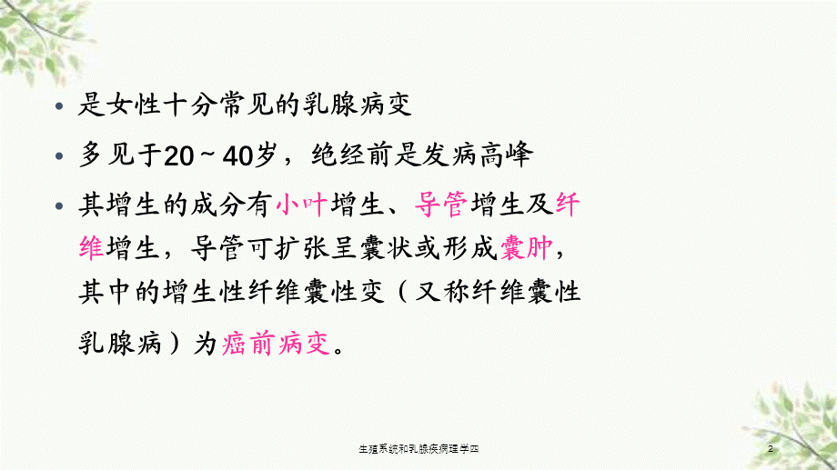 生殖系统和乳腺疾病理学四课件.ppt_第2页