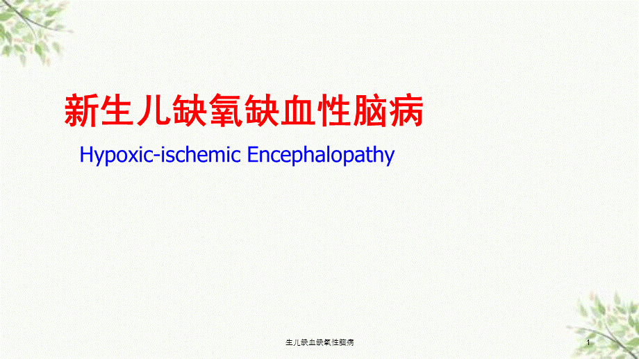 生儿缺血缺氧性脑病课件.ppt_第1页