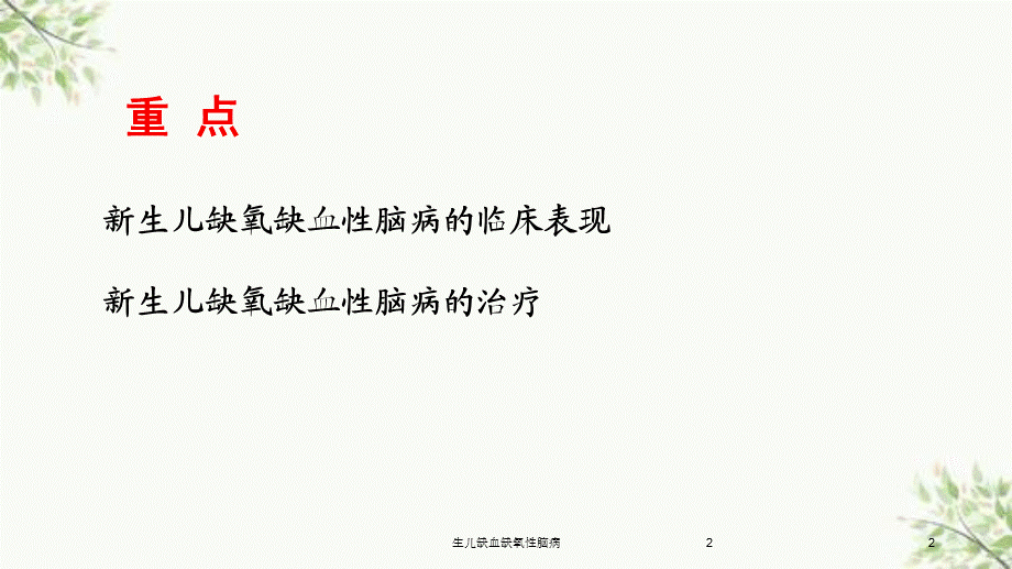 生儿缺血缺氧性脑病课件.ppt_第2页