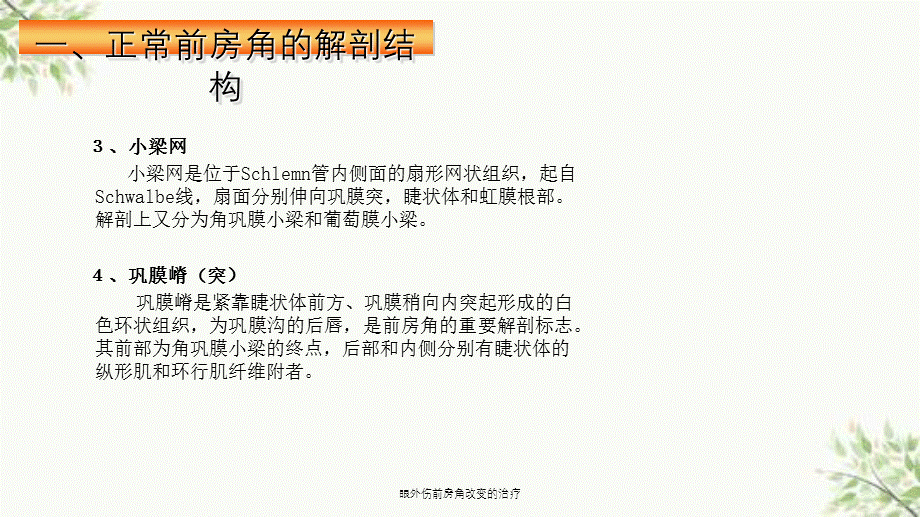 眼外伤前房角改变的治疗课件.ppt_第3页