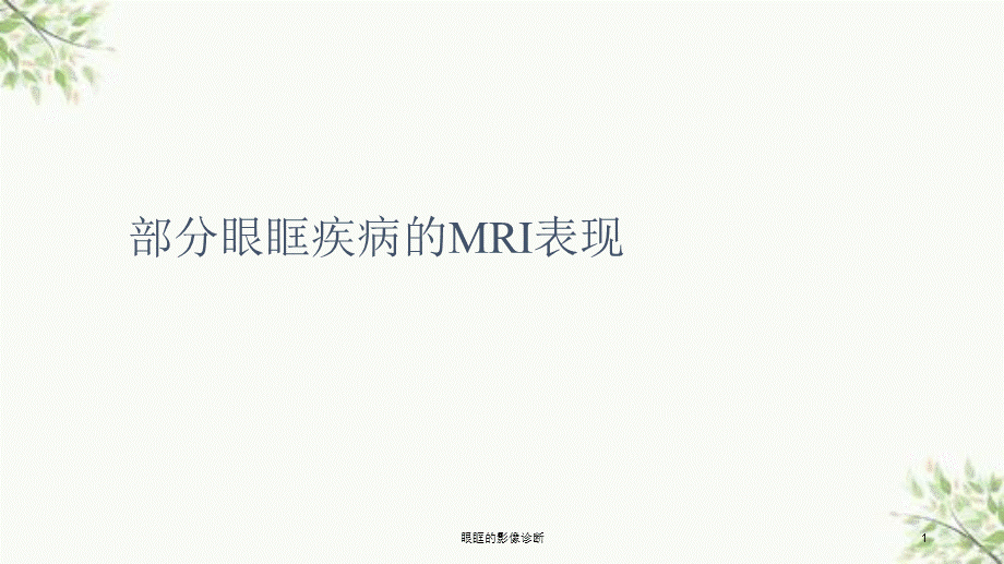 眼眶的影像诊断课件.ppt_第1页