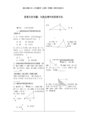 BS北师版 初二八年级数学 上册第一学期秋(期末考试复习)2.思想方法专题：勾股定理中的思想方法.docx