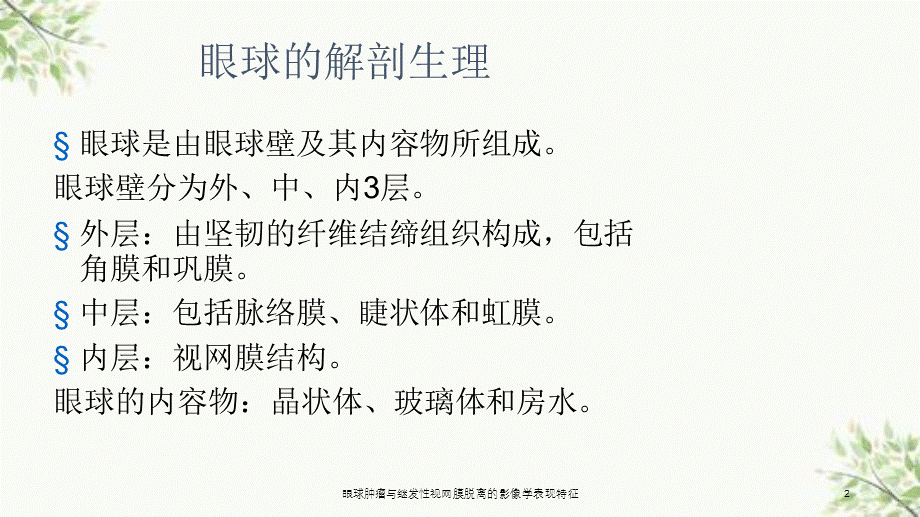 眼球肿瘤与继发性视网膜脱离的影像学表现特征课件.ppt_第2页