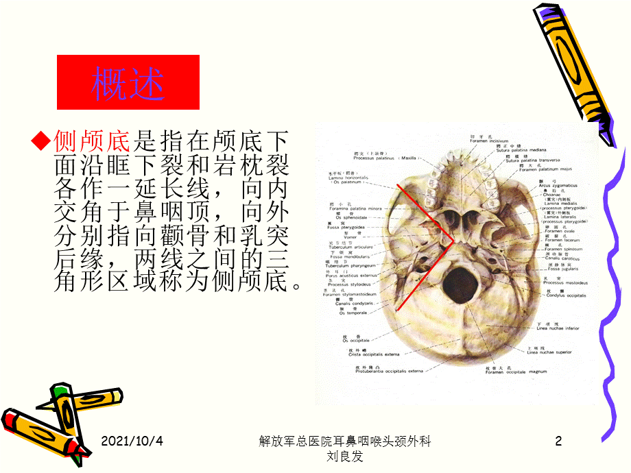 侧颅底解剖.ppt_第2页