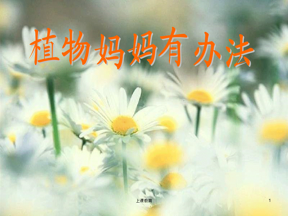 人教版小学二年级语文上册《植物妈妈有办法》完整课件[教学文书].ppt_第1页