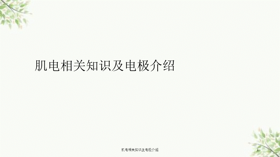 肌电相关知识及电极介绍课件.ppt_第1页