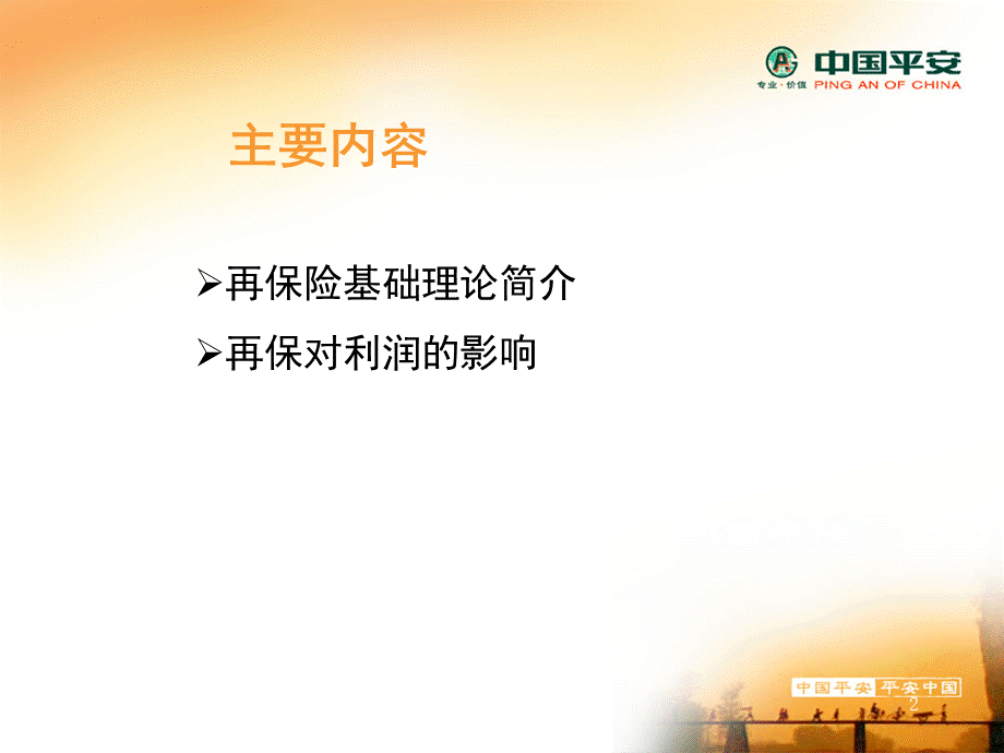 再保险简介.ppt_第2页