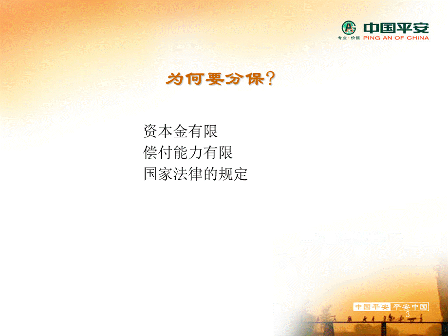 再保险简介.ppt_第3页