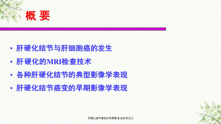 肝硬化结节癌变的早期影像诊断杨正汉课件.ppt_第2页