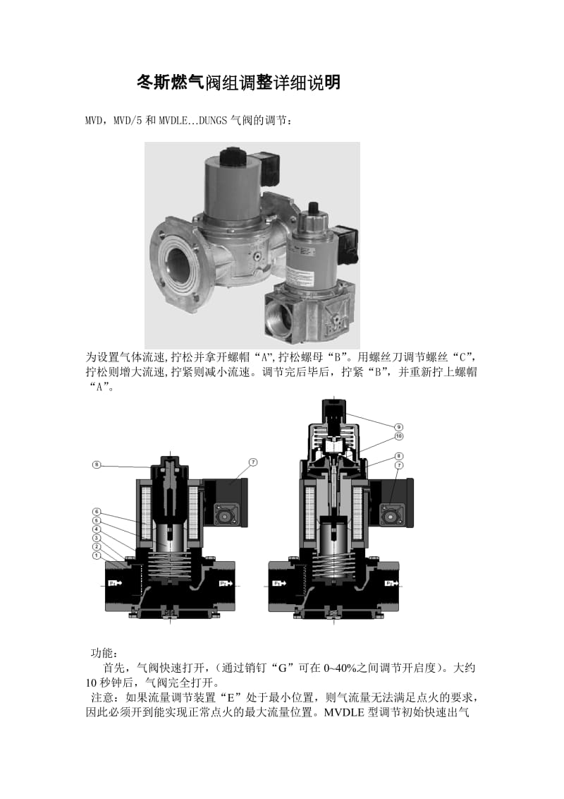 冬斯燃气阀组调整详细说明.doc_第1页