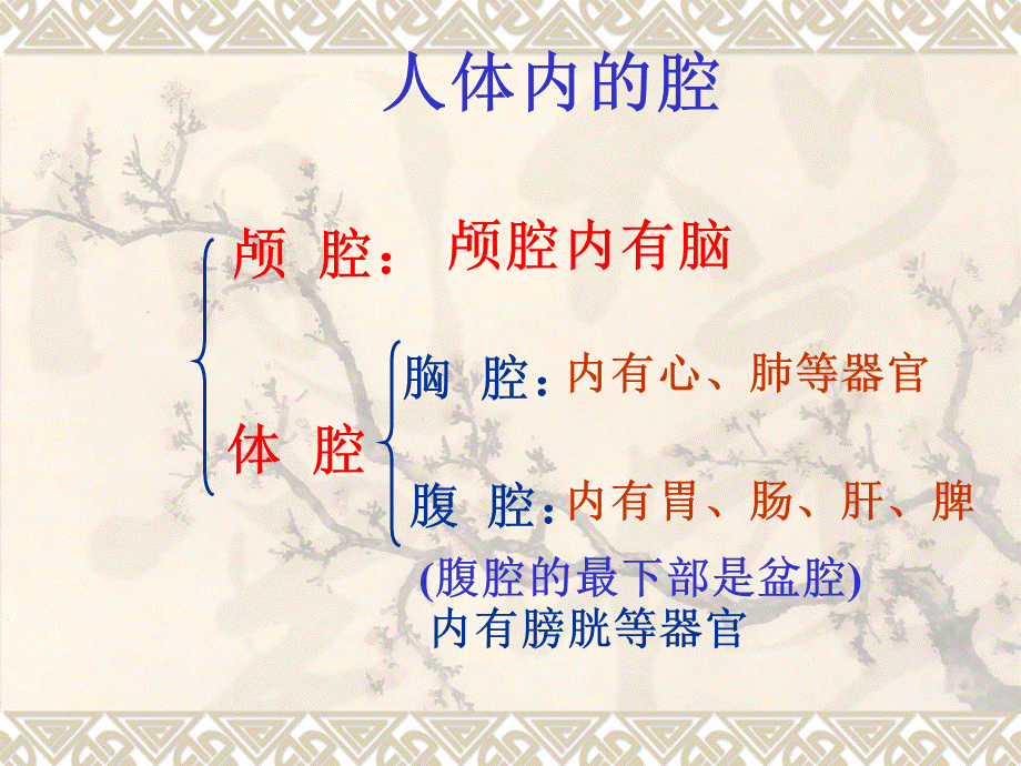 人的身体.ppt_第3页