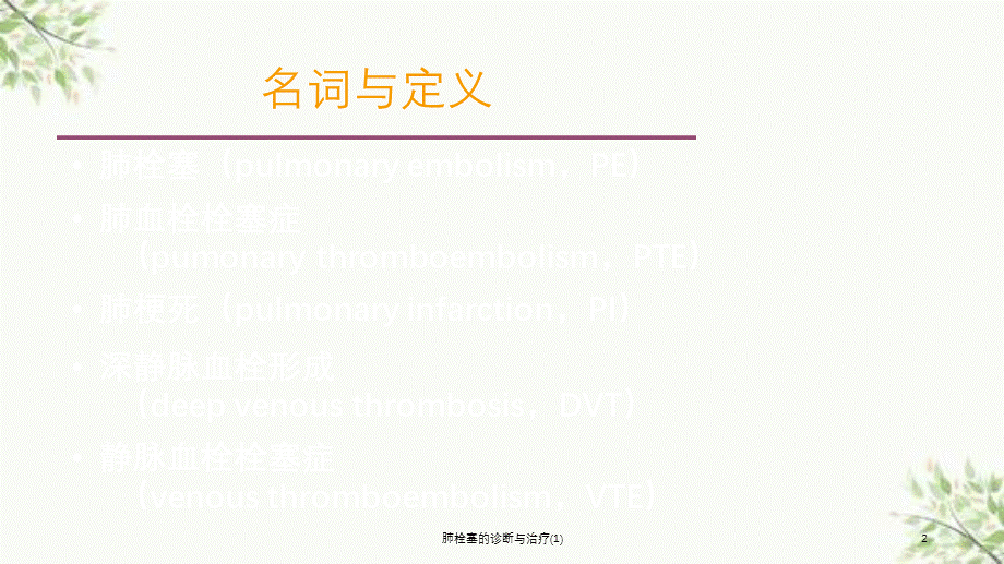 肺栓塞的诊断与治疗(1)课件.ppt_第2页