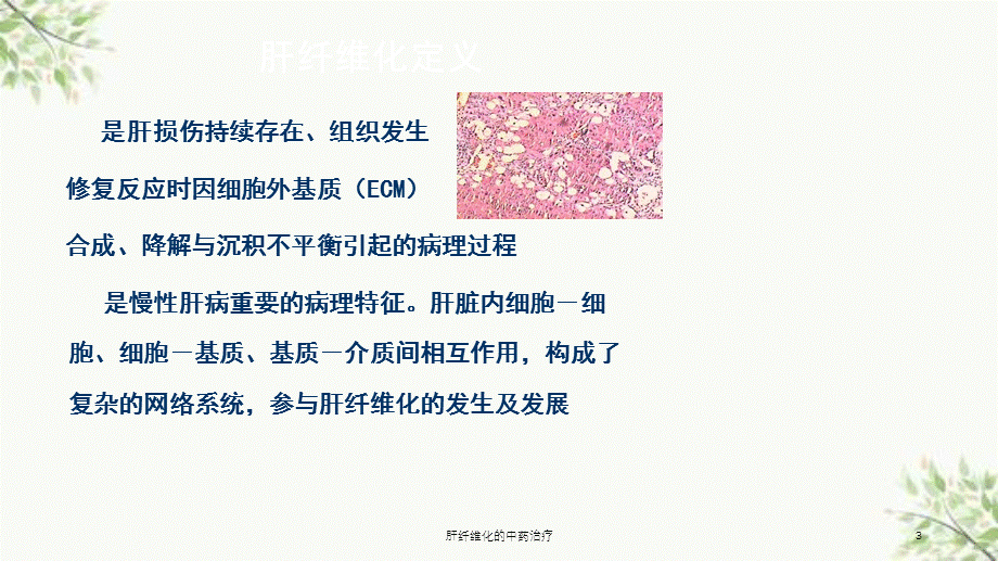 肝纤维化的中药治疗课件.ppt_第3页