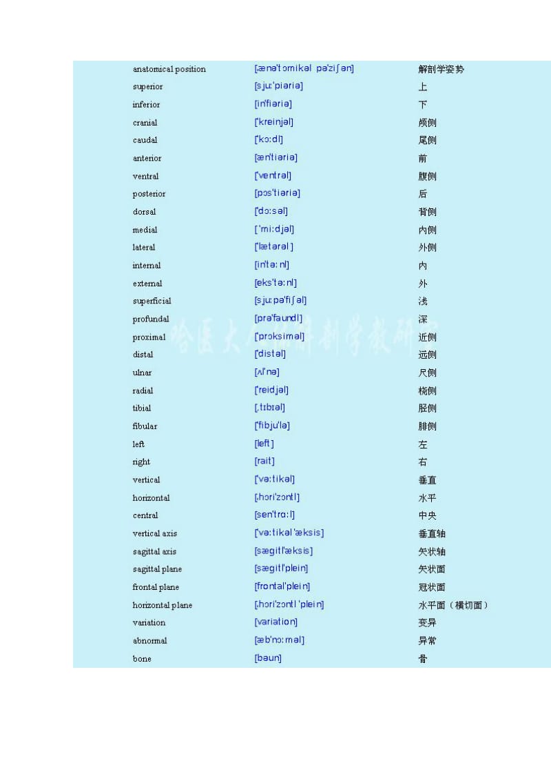 人体解剖学专业词汇中英对照.doc_第2页