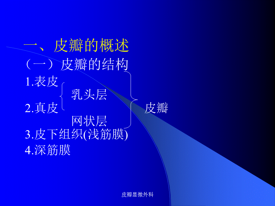 皮瓣显微外科.ppt_第2页