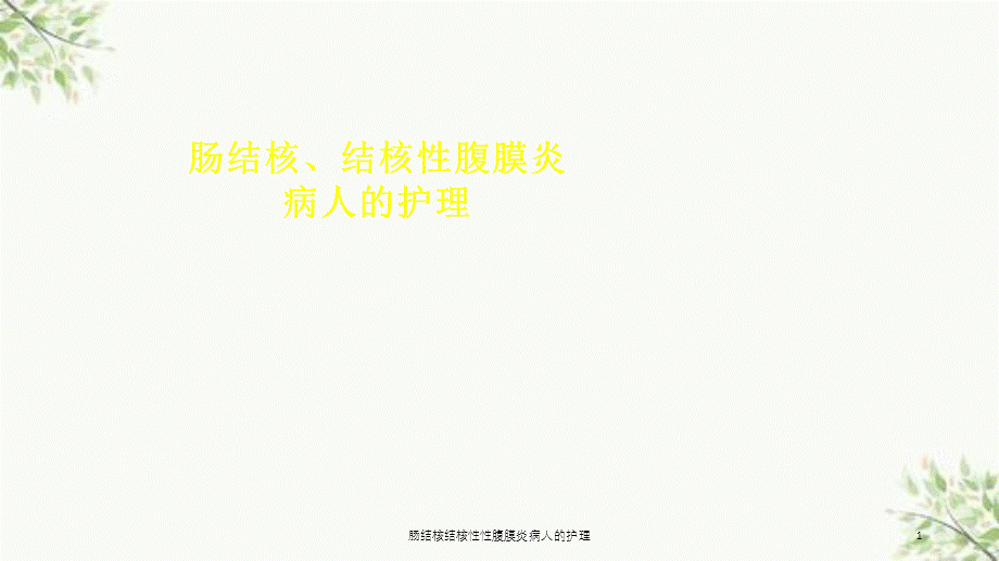 肠结核结核性性腹膜炎病人的护理课件.ppt_第1页