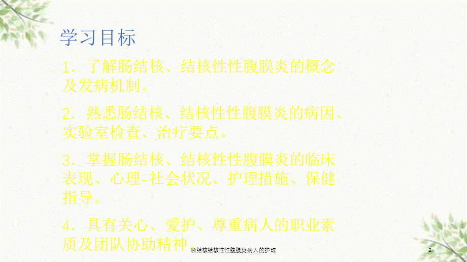 肠结核结核性性腹膜炎病人的护理课件.ppt_第2页