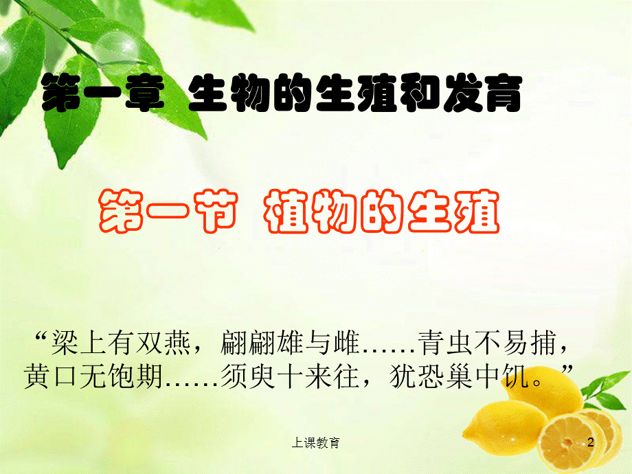 人教版生物八年级下册《植物的生殖》[教学文书].ppt_第2页