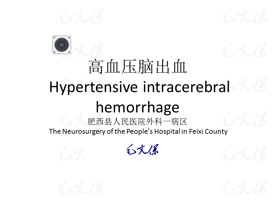 高血压脑出血 最新.ppt_第1页