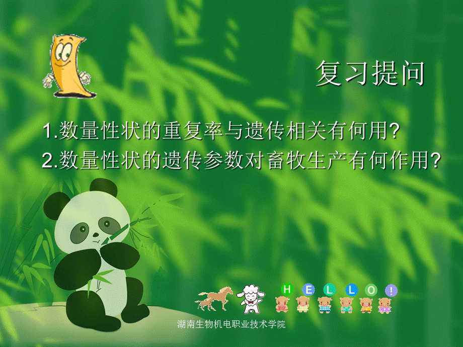 复习提问.ppt_第1页