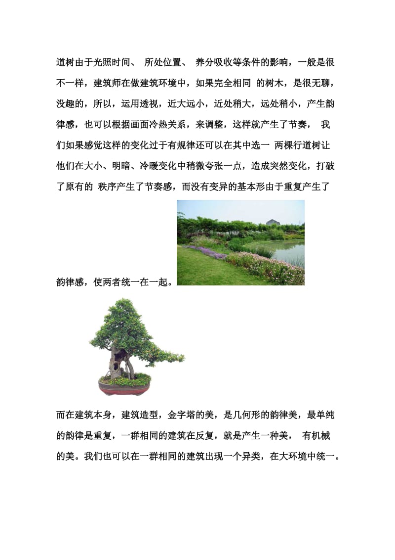 节奏和韵律在建筑中的应用.doc_第2页