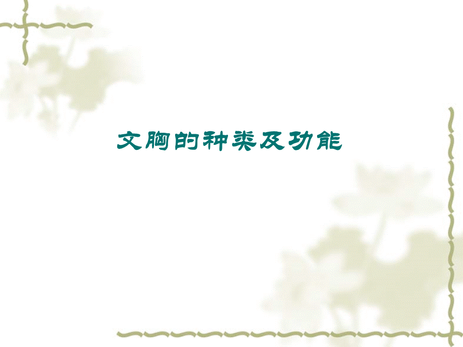 文胸的基础知识.ppt_第2页