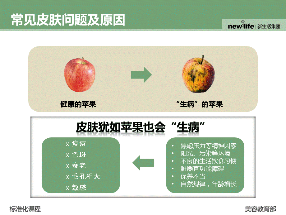 问题性皮肤护理课件.ppt_第3页