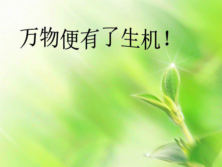 阳光里的梦想.ppt_第3页