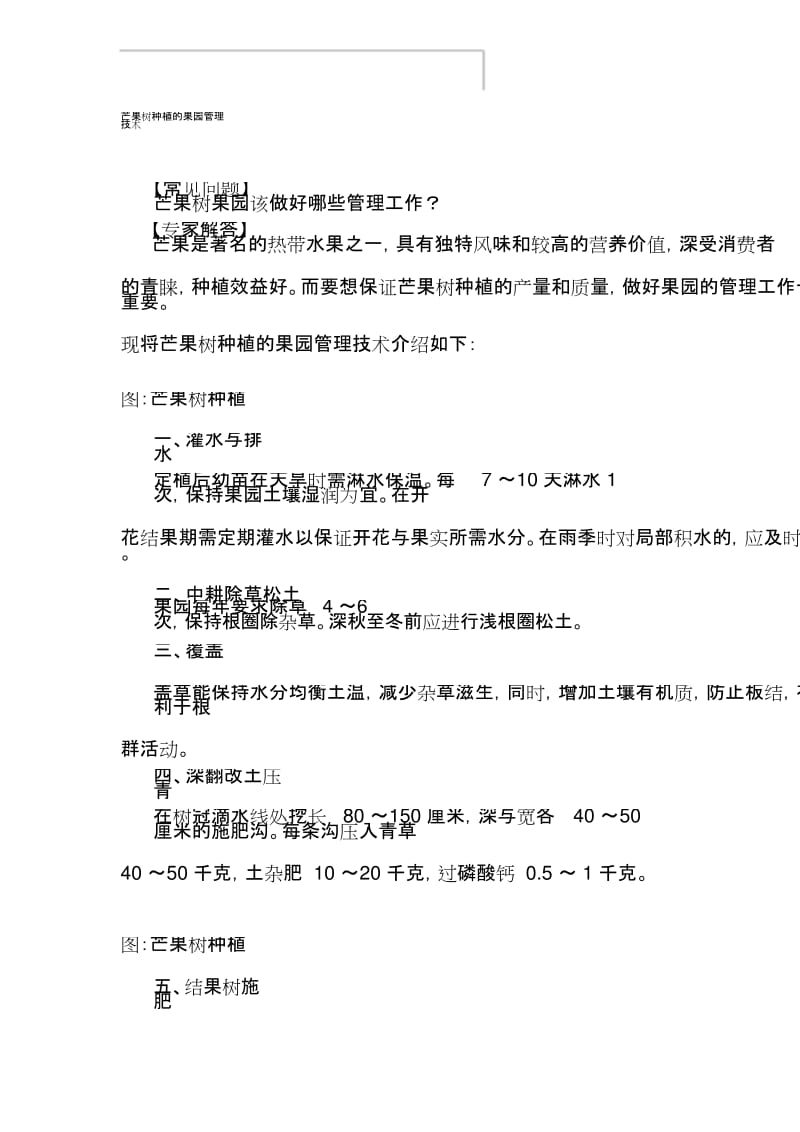 芒果树种植的果园管理技术.docx_第1页