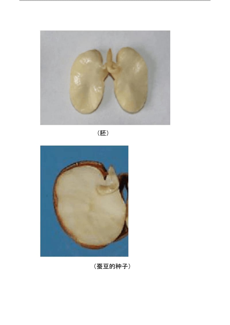 教科版四年级科学下册所有图片.docx_第3页