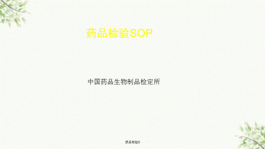 药品检验S课件.ppt_第1页