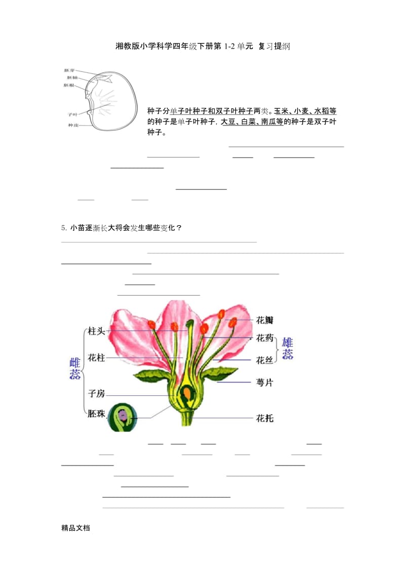 最新湘教版小学科学四年级下册复习提纲(有答案).docx_第1页