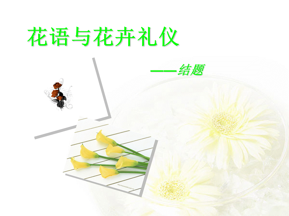 花语与花卉礼仪.ppt_第1页